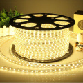 LED Strip Light Waterproof LED Tape AC 220V SMD 5050 RGB 60LED Flexible LED Light strip for Living Room Outdoor Lighting